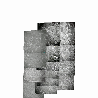 Export Image